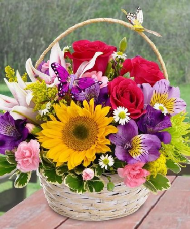 Butterfly Beauty Basket