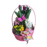 Butterfly Blooms Basket 