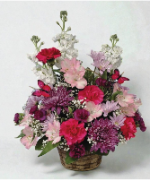 Butterfly Blooms CF-BLOOMS