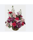 Butterfly Blooms CF-BLOOMS