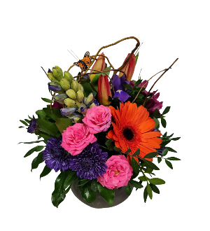 Butterfly Blooms Container arrangement