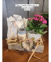 Butterfly, Candle Combo Plant Basket