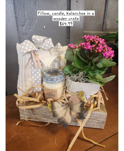 Butterfly, Candle Combo Plant Basket