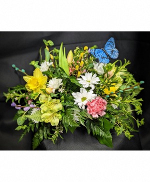 Butterfly centerpiece  Centerpiece 