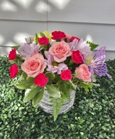 Butterfly day Get well