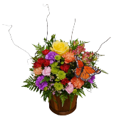 Butterfly Delight Flowers