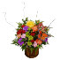 Butterfly Delight Flowers