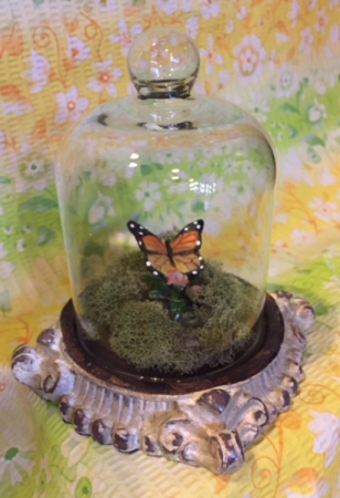 Butterfly Dome