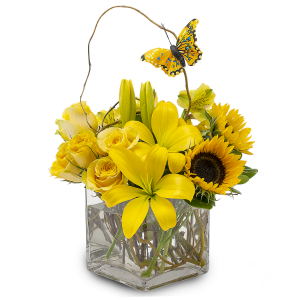 Butterfly Effect Arrangement
