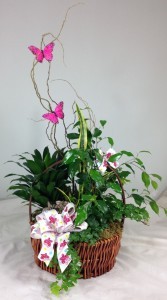 Butterfly Garden European Basket Garden