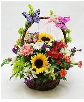 Colorful Garden MD259 