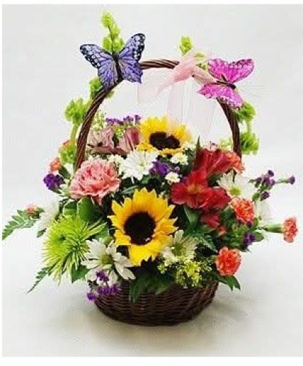 Colorful Garden MD259