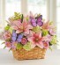 Butterfly Garden Basket Spring