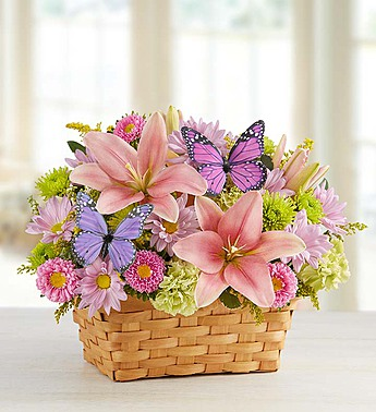 Butterfly Garden