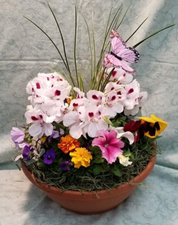 Butterfly Garden Outdoor Plants in Fulton, NY - DeVine Designs By Gail