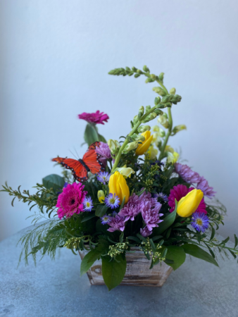 Butterfly Haven Box
