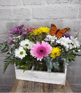 Butterfly Meadow 