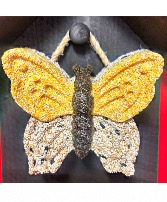 Butterfly Outdoor Birdfeeder (locally made) Gift