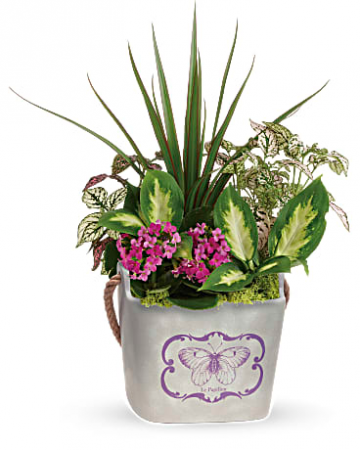 Butterfly Planter Hand-glazed ceramic planter