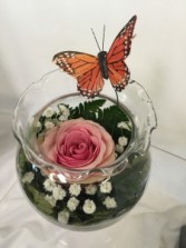 Butterfly Rose Bowl any occasion