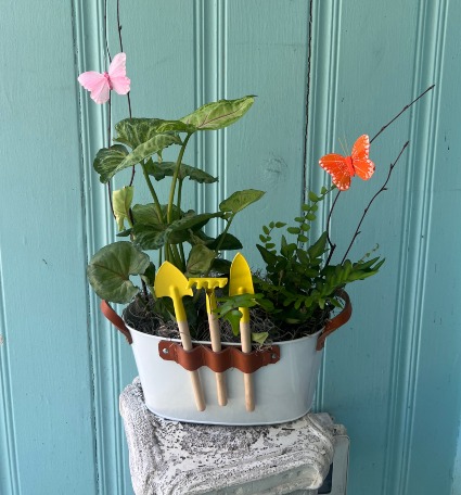 BUTTERFLY SUMMER PLANTER PLANT ARRANGEMENT