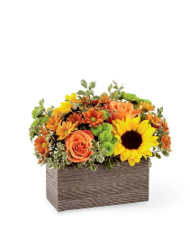 Butterscotch Blossoms Arrangement