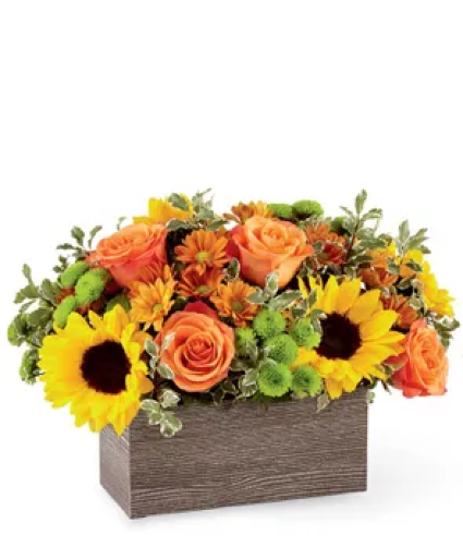 Butterscotch Box Fresh Flowers