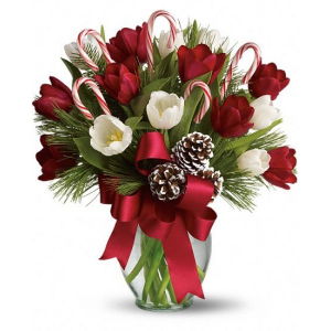 By Golly, It's Jolly Arrangement in Croton On Hudson, NY | Cooke's Little Shoppe Of Flowers By Golly, It's Jolly Arrangement in Croton On Hudson, NY | Cooke's Little Shoppe Of Flowers