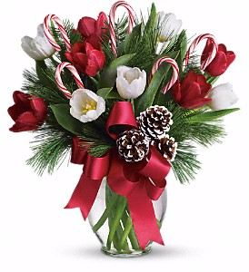 By Golly it's Jolly Christmas Flowers in Riverside, CA | Willow Branch Florist of Riverside By Golly it's Jolly Christmas Flowers in Riverside, CA | Willow Branch Florist of Riverside