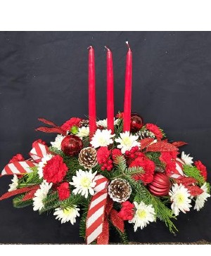 All Is Bright T114-1 Christmas Floral Centerpiece in Elkton, MD - FAIR HILL  FLORIST