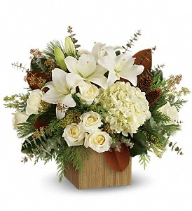 C* Snowy Woods TWR14-2 in Fort Worth, TX | DAVIS FLORAL DESIGNS C* Snowy Woods TWR14-2 in Fort Worth, TX | DAVIS FLORAL DESIGNS