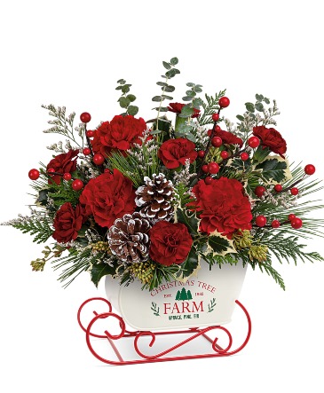 C* Snow What Fun Bouquet T23X300 in Fort Worth, TX | DAVIS FLORAL DESIGNS C* Snow What Fun Bouquet T23X300 in Fort Worth, TX | DAVIS FLORAL DESIGNS
