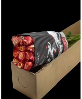 Cabaret Bicolor Variety of Roses