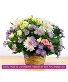 Purchase this funeral home arrangement