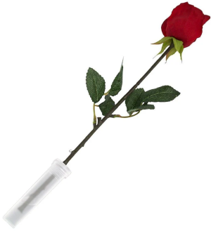 Cache Baccalaureate Roses  