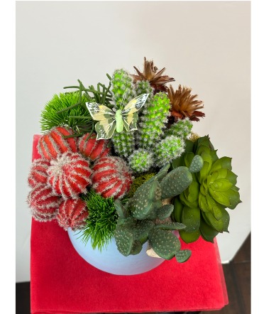 Cactus artificial arrangement in Delray Beach, FL | Delray Beach Flower Market
