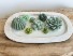 Cactus Candle Garden  Organic Soy Wax