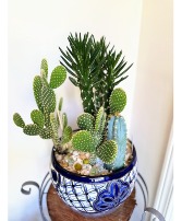"Desert Jewel" Cactus Garden  Outdoor Planter