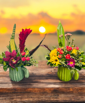 Cactus Glory - Designer's Choice  Vase arrangement