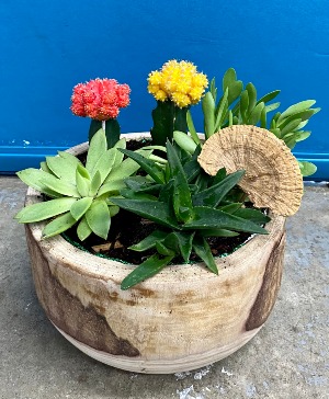 Cactus & Succulent Bowl 