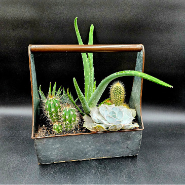 Cactus Succulent Garden Rustic Metal Planter in Saskatoon, SK | QUINN & KIM'S FLOWERS