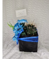 Cactus in a Cube w/ Blue Silk Flowers 