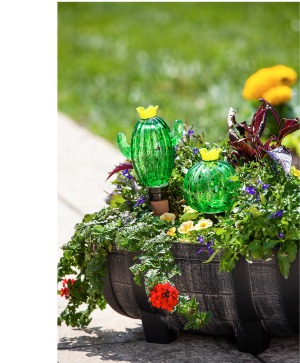 Cactus Watering Globe 
