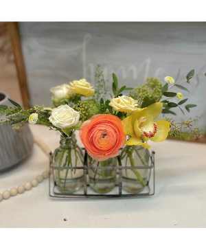 Caddy Set - Peach & White 