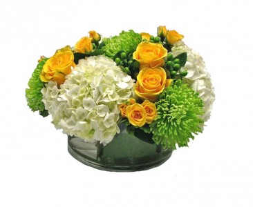 Cadmium Glow Cut Flowers
