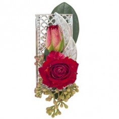 Category Image