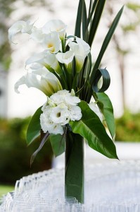 Cala Lily Arrangement Vase Arrangement - Centrepeice