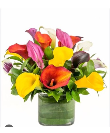 Cala lily colorful mix  in Pensacola, FL | Cordova Flowers and Gifts
