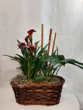 Cala lily Plant Combo Basket Planter