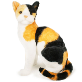 Calico Cat 